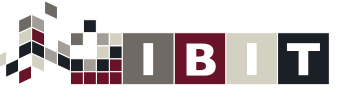 IBIT GmbH